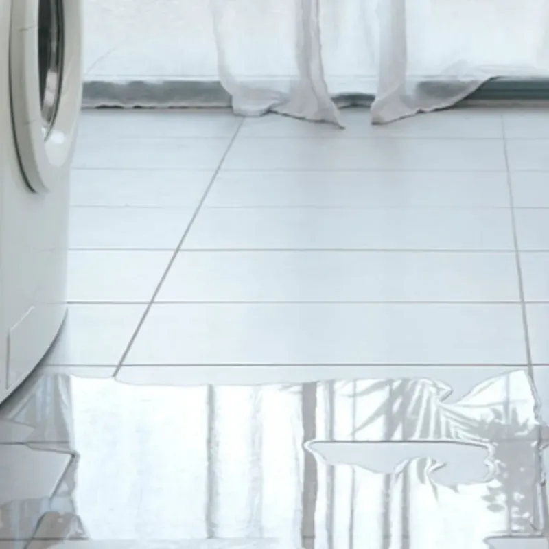 Appliance Leak Cleanup in Botkins, OH