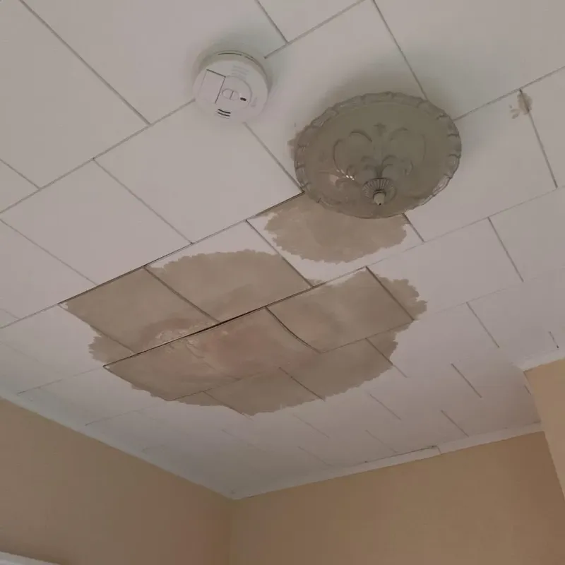 Ceiling Water Damage Repair in Botkins, OH