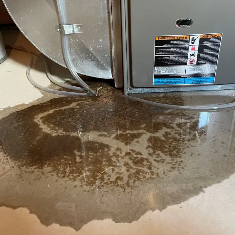 Pipe Burst and Leak Restoration in Botkins, OH