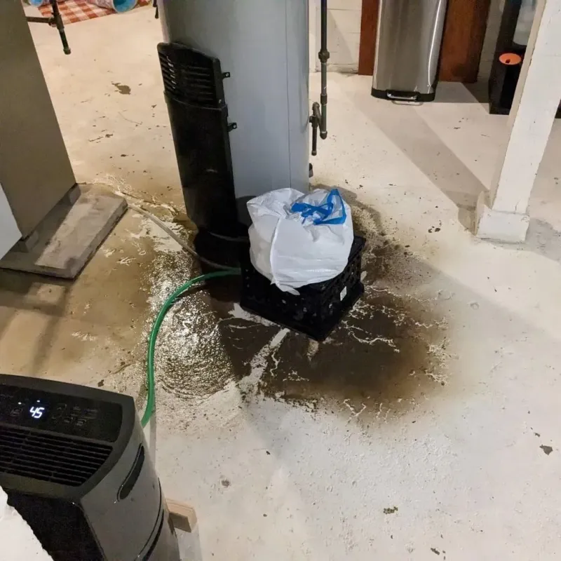 Sewage Backup Cleanup Service in Botkins, OH